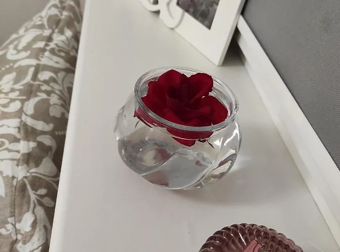 Apartmán Spokojny *